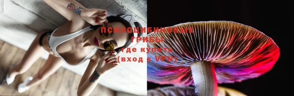 прущая мука Алагир