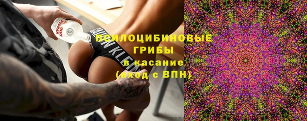 PSILOCYBIN Кукмор
