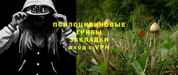 МДПВ Куйбышев