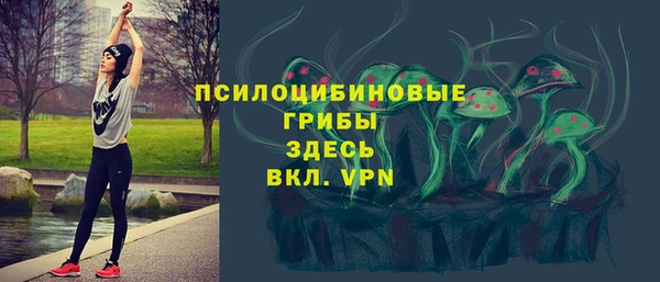 PSILOCYBIN Кукмор