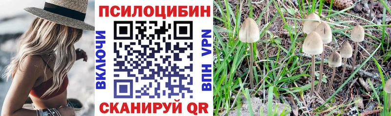 Псилоцибиновые грибы Magic Shrooms  ОМГ ОМГ ссылка  Узловая 
