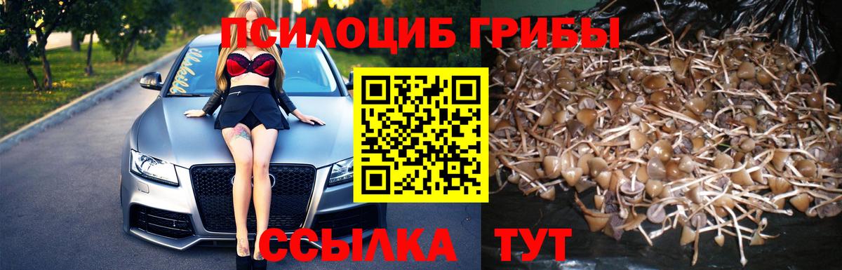 Галлюциногенные грибы GOLDEN TEACHER Узловая